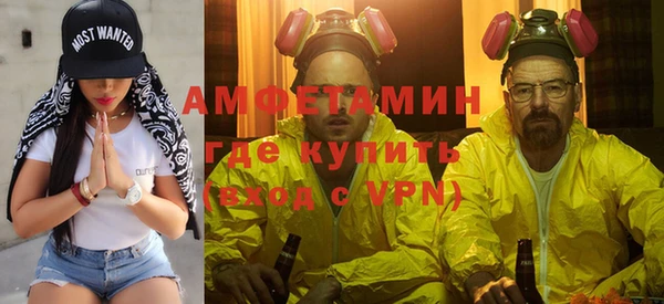 гидра Аркадак