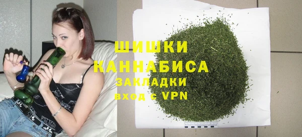 гидра Аркадак