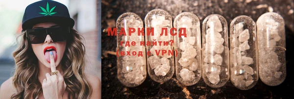 гидра Аркадак