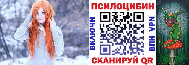 ссылка на мегу зеркало  Ялуторовск  Псилоцибиновые грибы мухоморы 